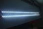 Έξοχος φωτεινότητας των άσπρων SMD 3528 οδηγήσεων ρόλος 60 5 μέτρων λουρίδων ελαφρύς LEDs/Μ DC12V/24V